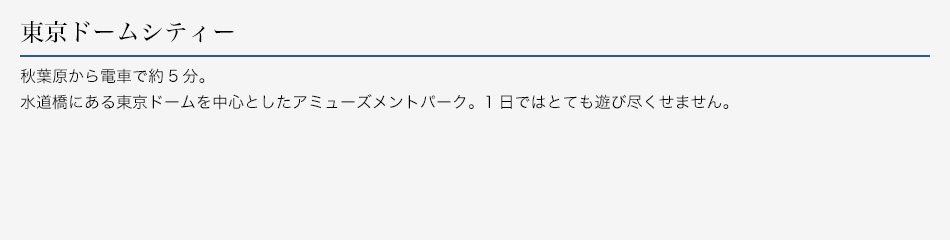 東京ドームシティー