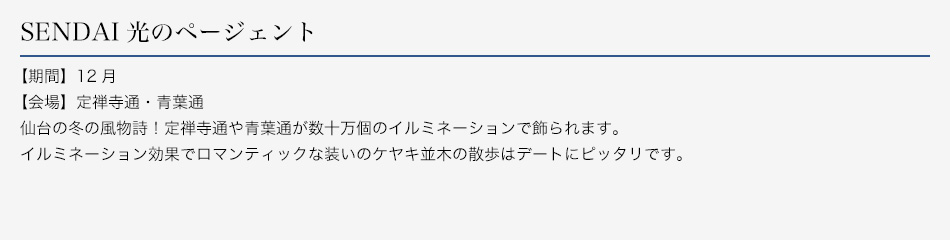 SENDAI光のページェント