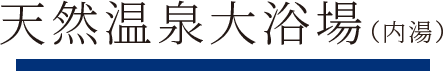 天然温泉大浴場（内湯）