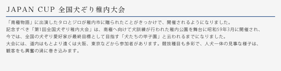 JAPANCUP全国犬ぞり稚内大会